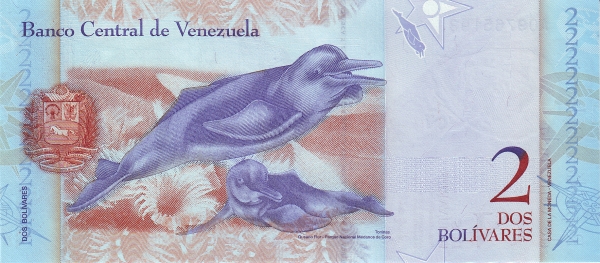 VEN0088r.jpg